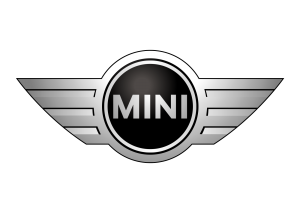 Car key cutting and programming for Mini